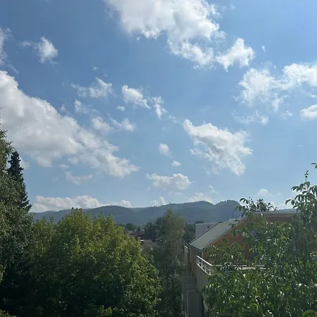 Ferienwohnung Sonnenterrasse am Wildgehege Bad Harzburg Exterior foto