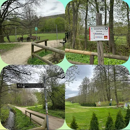 Ferienwohnung Sonnenterrasse am Wildgehege Bad Harzburg Exterior foto